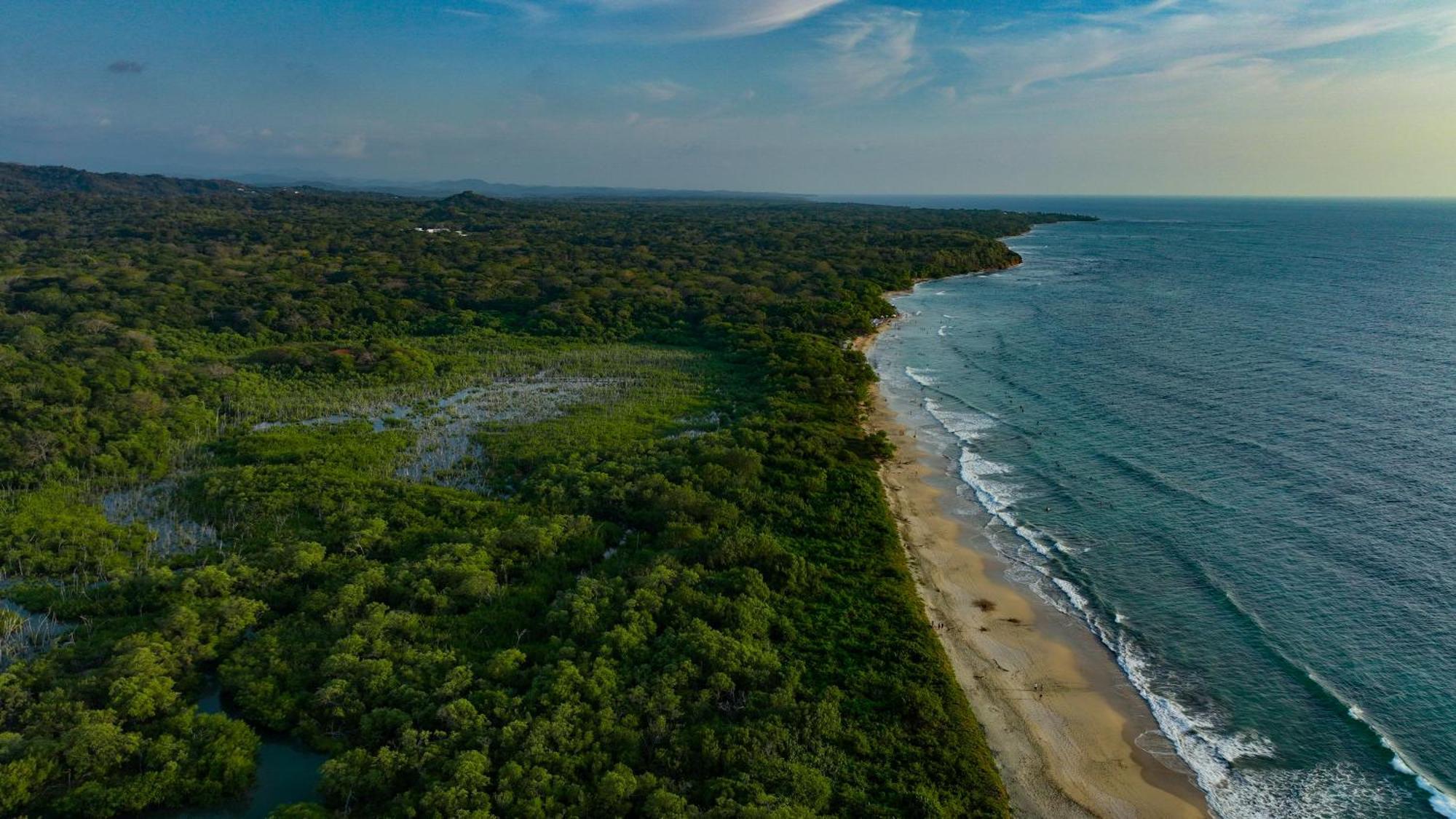 Beach Walk Costa Rica Playa Avellana Eksteriør billede